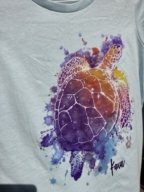Del Sol Color-Changing Turtle T-Shirt – Kauai Edition 🐢☀️